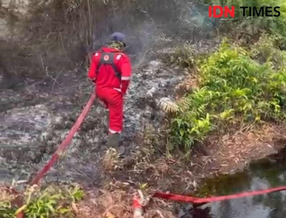 Waspada Kemarau! BPBD PPU Larang Bakar Lahan, Ancaman 10 Tahun Penjara