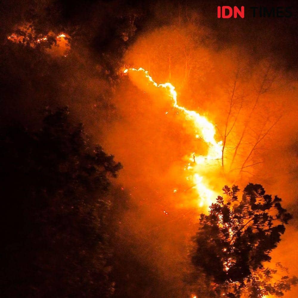 Awas! Ancaman Karhutla Makin Meluas di Kalimantan Barat