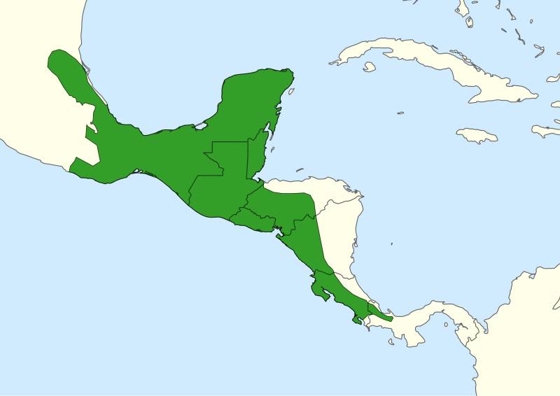 ilustrasi peta persebaran dari landak pohon meksiko (commons.wikimedia.org/Planckarte)
