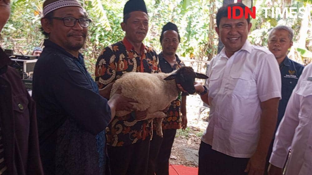 Kelompok Ternak di Cilacap Dapat Bantuan 11 Kambing Gratis dari Baznas