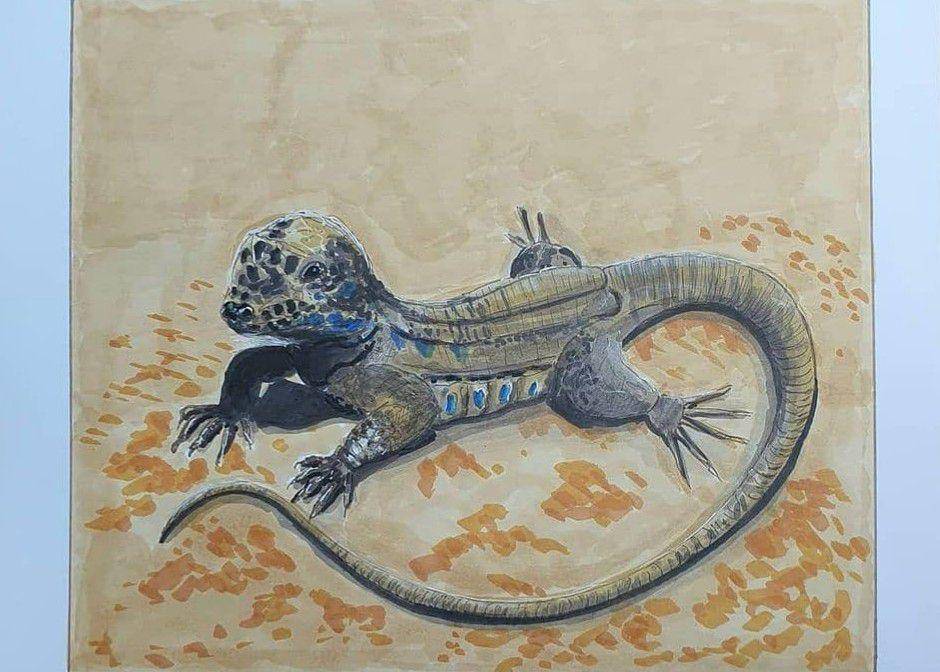 ilustrasi kadal raksasa la palma (instagram.com/sunshine_inspired_fauna)
