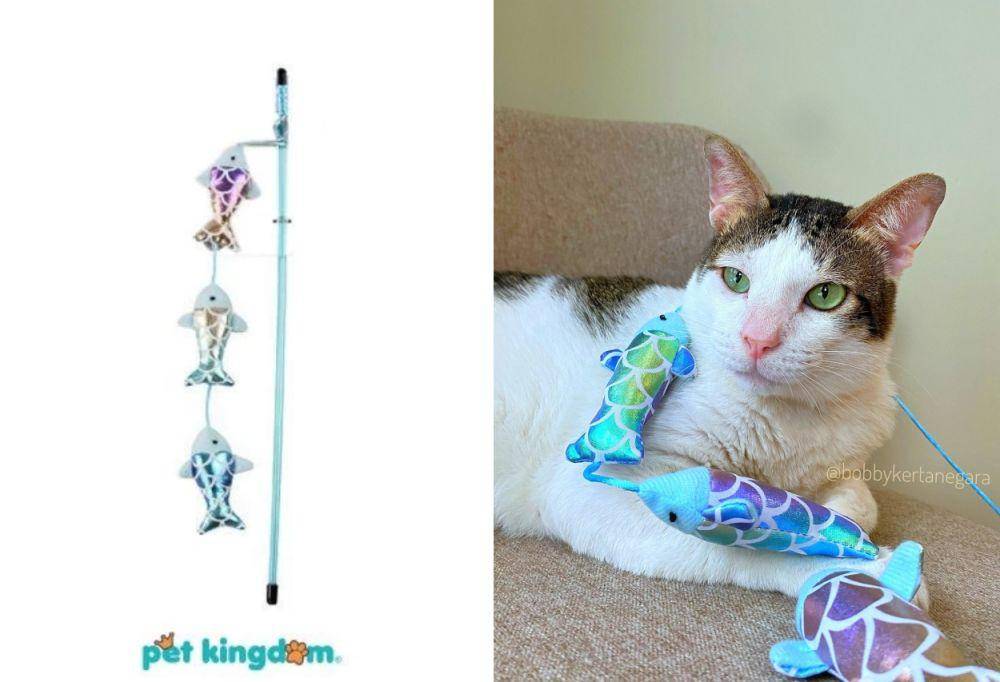 mainan Bobby Kertanegara (tokopedia.com/Pet Kingdom | instagram.com/bobbykertanegara)