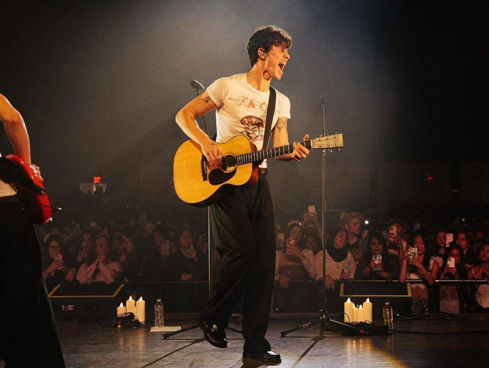 potret Shawn Mendes (instagram.com/shawnmendes)