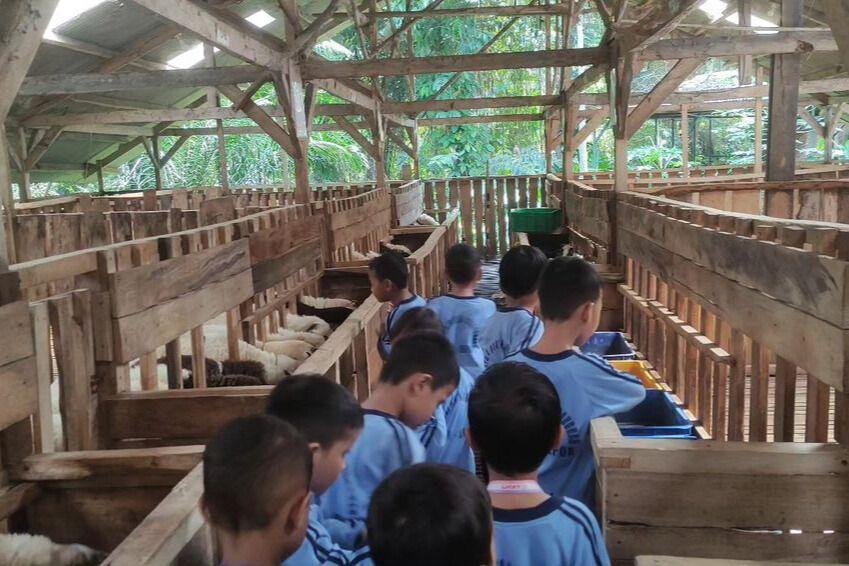 Potret aktivitas outdoor peternakan mini di Kampung 99 Pepohonan (instagram.com/kampung99pepohonan_)