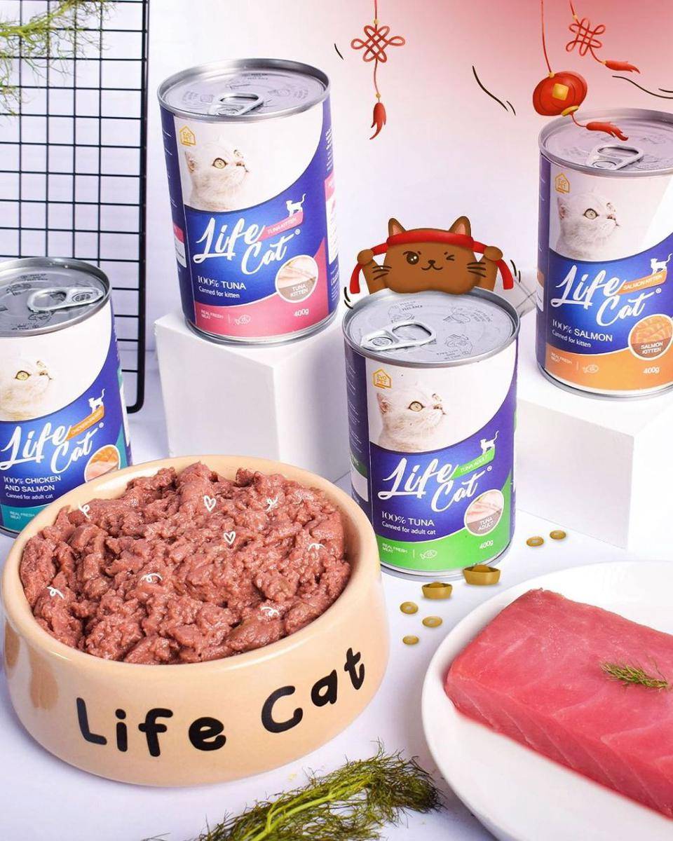 Makanan kucing (instagram.com/evopet.id)