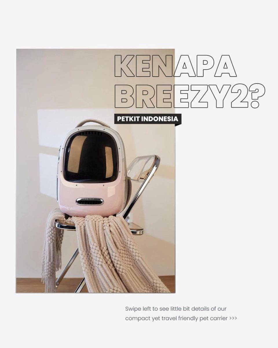 Petkit (nstagram.com/petkitid)