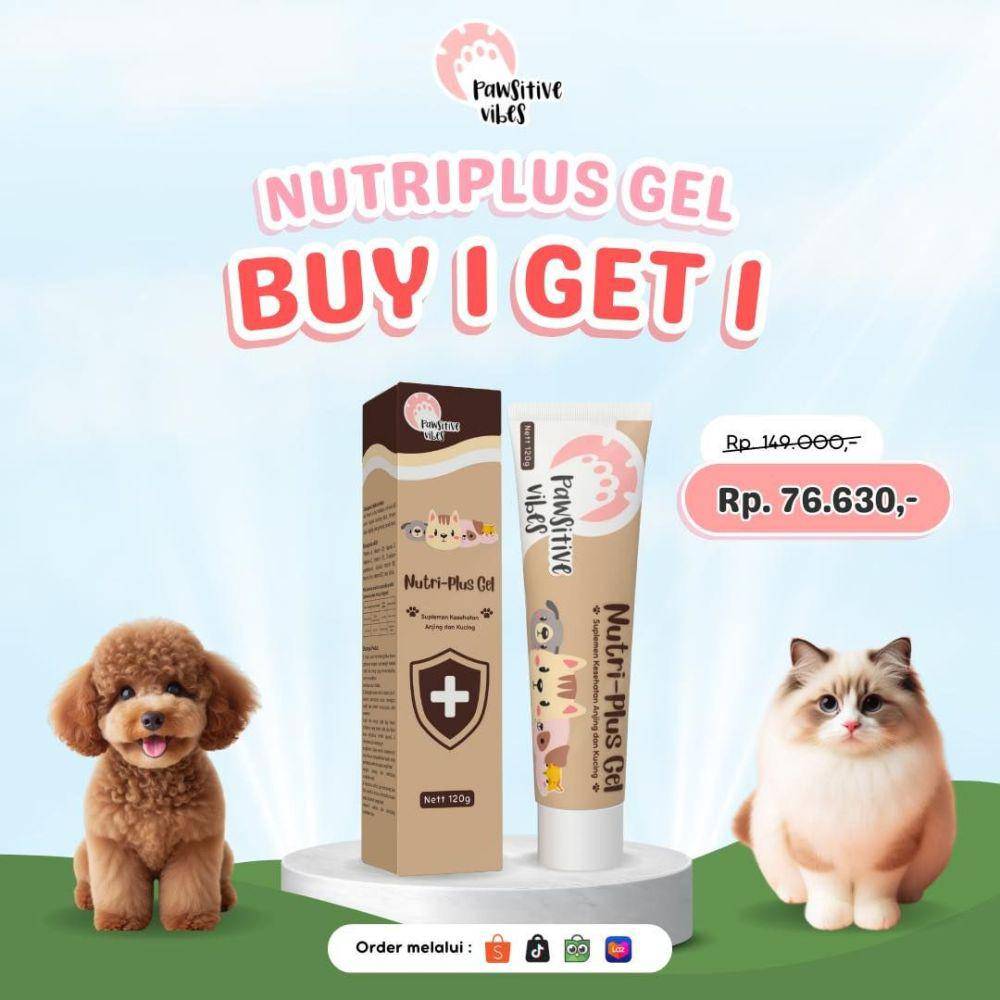 Pawsitive Vibes (instagram.com/pawsitivevibes.official)