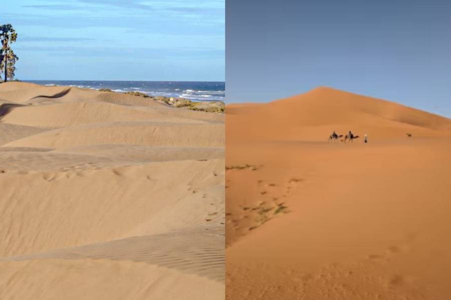 Potret gurun pasir di Pantai Oetune, Timor Tengah Selatan, NTT (dok. Kemenparekraf)| Potret Gurun Sahara di Maroko (unsplash.com/rolandas93)