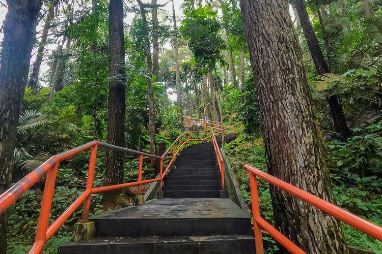 Potret tangga untuk naik ke puncak bukit di Kebun Raya Gunung Tidar, Magelang (magersari.magelangkota.go.id)