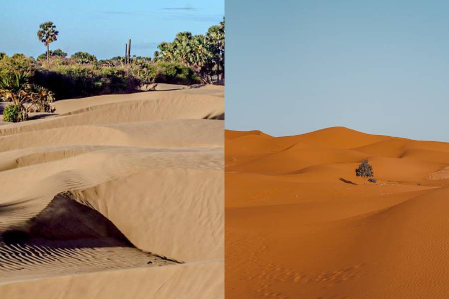 Potret gurun pasir di Pantai Oetune, Timor Tengah Selatan, NTT (dok. Kemenparekraf)| Potret Gurun Sahara di Maroko (unsplash.com/limamauro23)