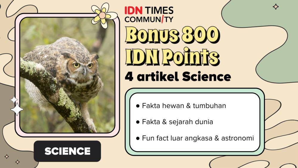 Kumpulan bonus IDN Points IDN Times Community (IDN Times/Sukma Mardya Shakti)