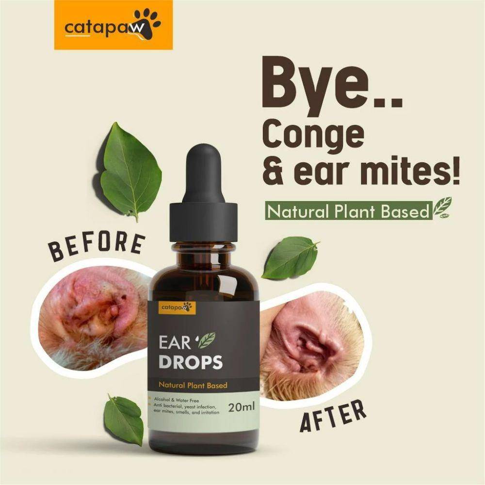 Tetes telinga kucing (shopee.co.id/catapaw)