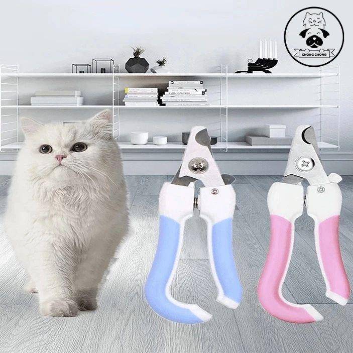 Gunting dan kikir kuku kucing (shopee.co.id/chongchong.id)