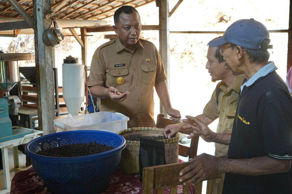 Pjs Bupati Heru Dorong Warga Hasilkan Komoditas Kopi Berkualitas