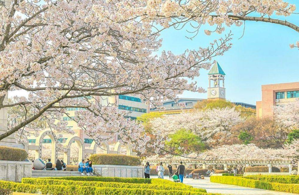 potret Kyung Hee University pada musim semi (instagram.com/kyunghee_university)