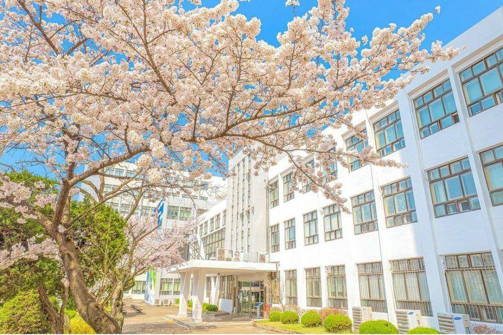 potret Kyung Hee University di Korea Selatan (instagram.com/Kyunghee_university)