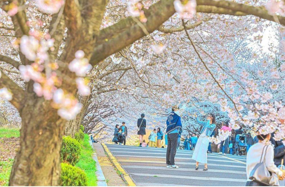 potret Kyung Hee University di Korea Selatan (instagram.com/kyunghee_university)