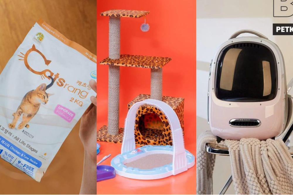 8 Toko Online untuk Beli Perlengkapan Kucing, Lengkap!
