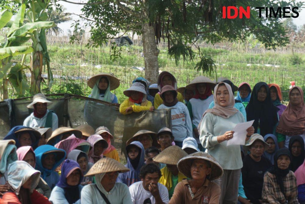 Petani Sleman Sambat Sulit Pupuk, Air hingga Alat Pertanian Tak Merata