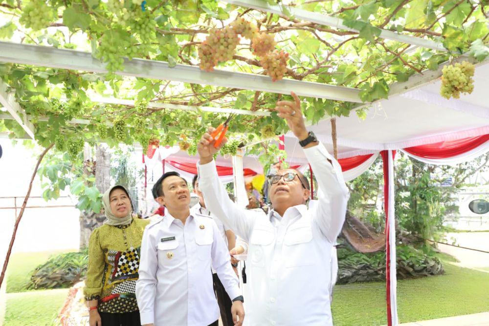 Pringsewu Resmi jadi Kota Anggur Pertama di Indonesia