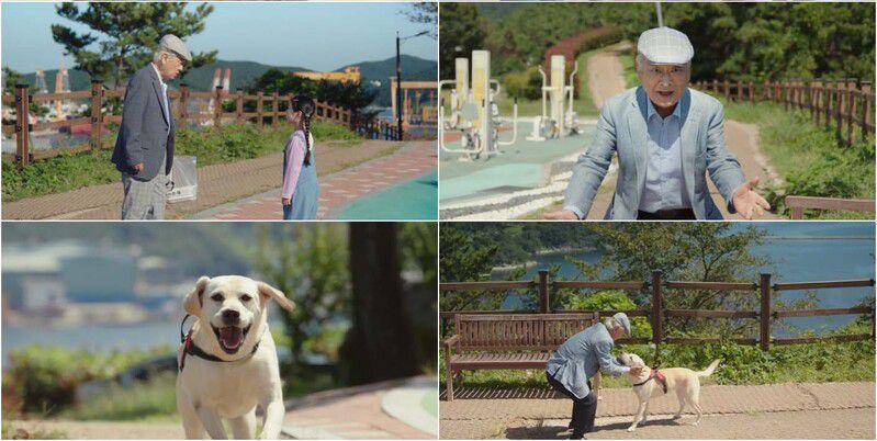 cuplikan drakor Dog Knows Everything (dok. KBS/Dog Knows Everything)