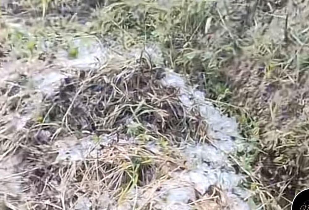 Penyebab Hujan Es di Kabupaten Solok, BMKG Bilang Ini
