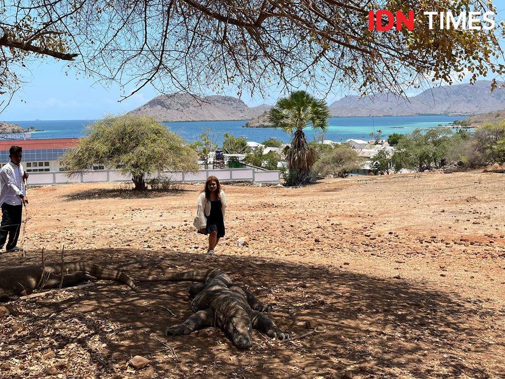 Harga Tiket Taman Nasional Komodo Naik Per 30 Oktober 2024