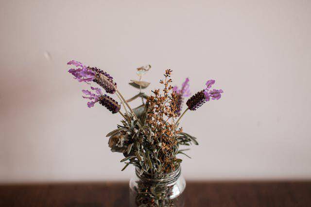 ilustrasi lavender kering (pexels.com/Rachel Claire)
