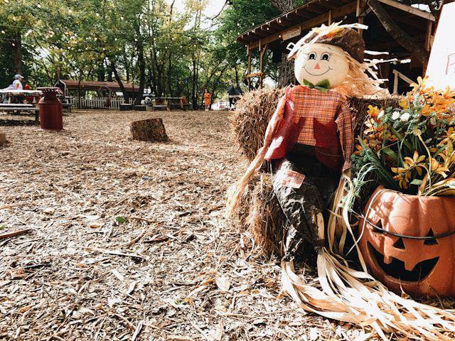 5 Fakta Menarik Jack O'Lantern, Berasal dari Cerita Rakyat Irlandia