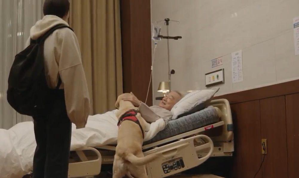 cuplikan drama Korea Dog Knows Everything (youtube.com/@KBSdrama)