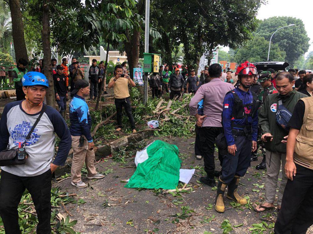 Mahasiswa tewas tertimpa pohon tumbang di Jalan Tentara Pelajar, Kota Bogor, Jawa Barat, Jumat (1/11/2024). (BPBD Kota Bogor).