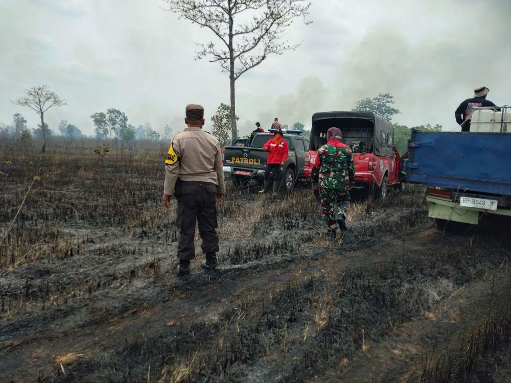 Penampakan lahan dan hutan terbakar di Taman Nasional Way Kambas sejak Rabu (30/10/2024). (Dok. Polres Lampung Timur).