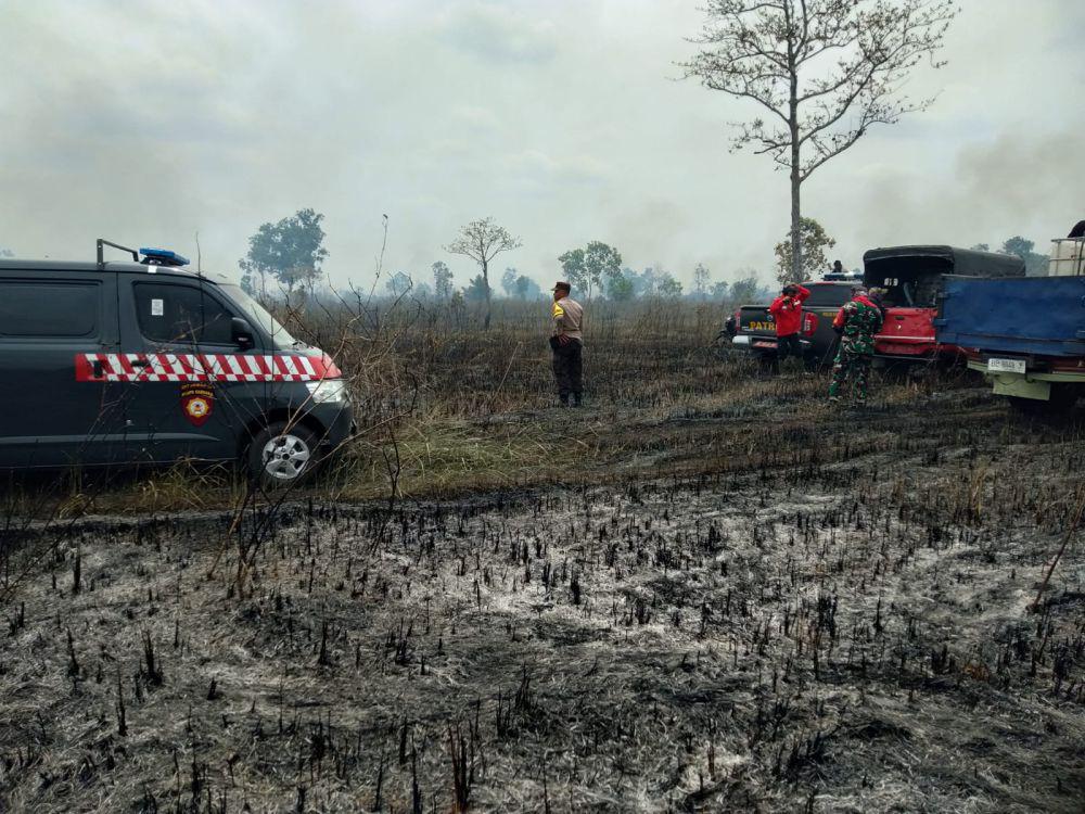 Lagi, Ratusan Hektare Lahan dan Hutan Way Kambas Terbakar!