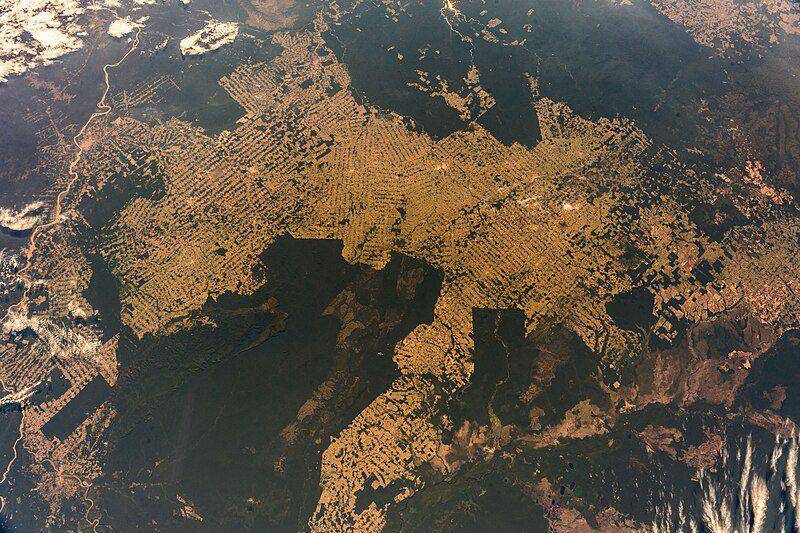 Citra satelit dari Hutan Hujan Amazon menunjukkan ia terus mengalami deforestasi hingga sekarang. (commons.wikimedia.org/ Alexander Gerst)