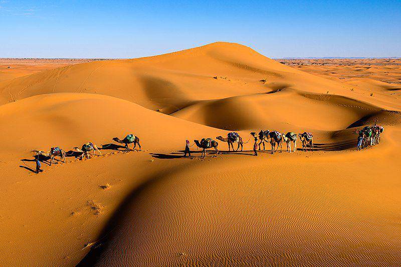 potret karavan yang sedang melintasi Gurun Sahara (commons.wikimedia.org/Sergey Pesterev)