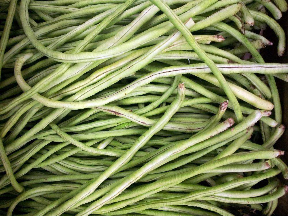 Kacang panjang (pixabay.com/PublicDomainPictures)