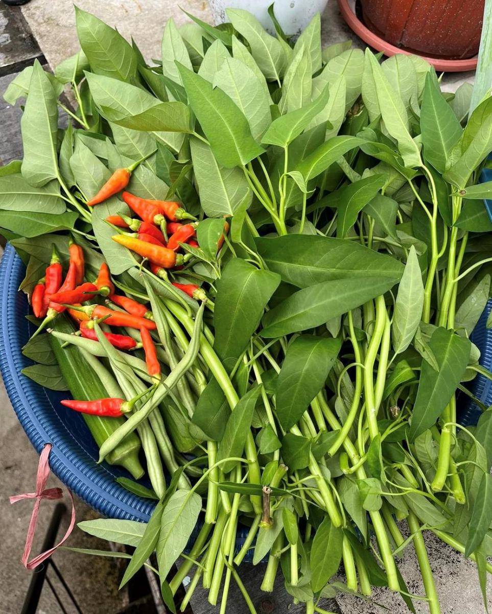 Kangkung (instagram.com/e_marsela)