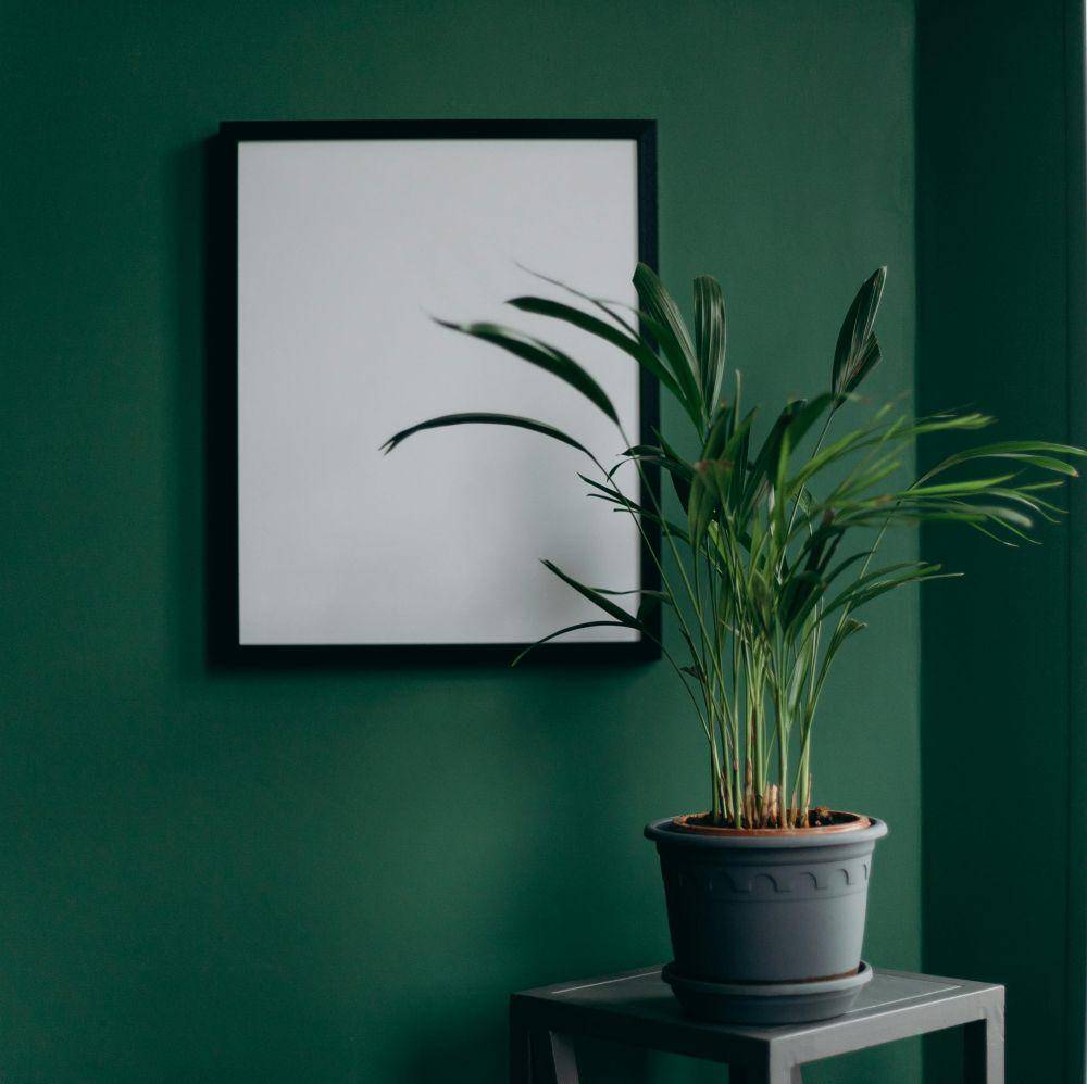 ilustrasi dekorasi kamar (pexels.com/cottonbro studio)
