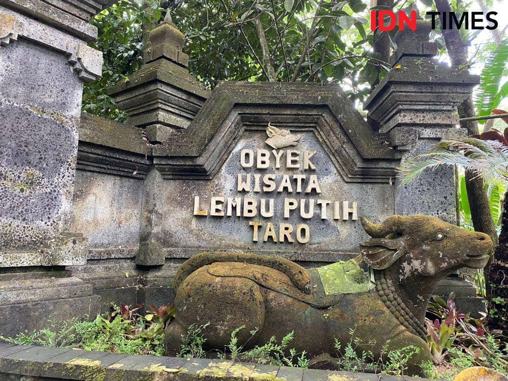 Objek Wisata Lembu Putih Taro. (IDN Times/Yuko Utami)