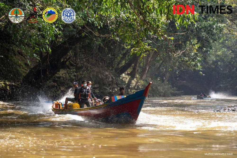 Proses pelepasliaran orangutan memakan waktu 3 hari. (IDN Times/BKSDA Kalbar).