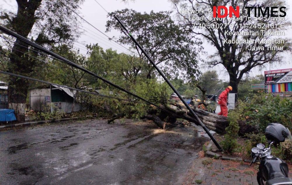 Tips Mencegah Dampak Cuaca Ekstrem Angin Kencang