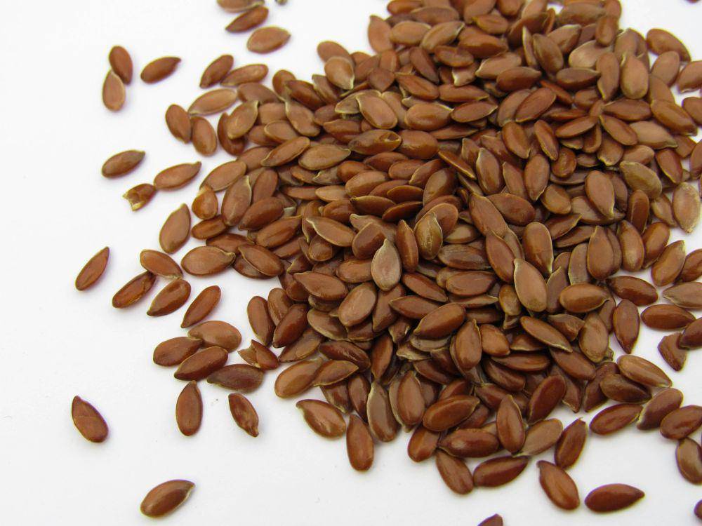 ilustrasi flaxseed (unsplash.com/@karyna_panchenko)
