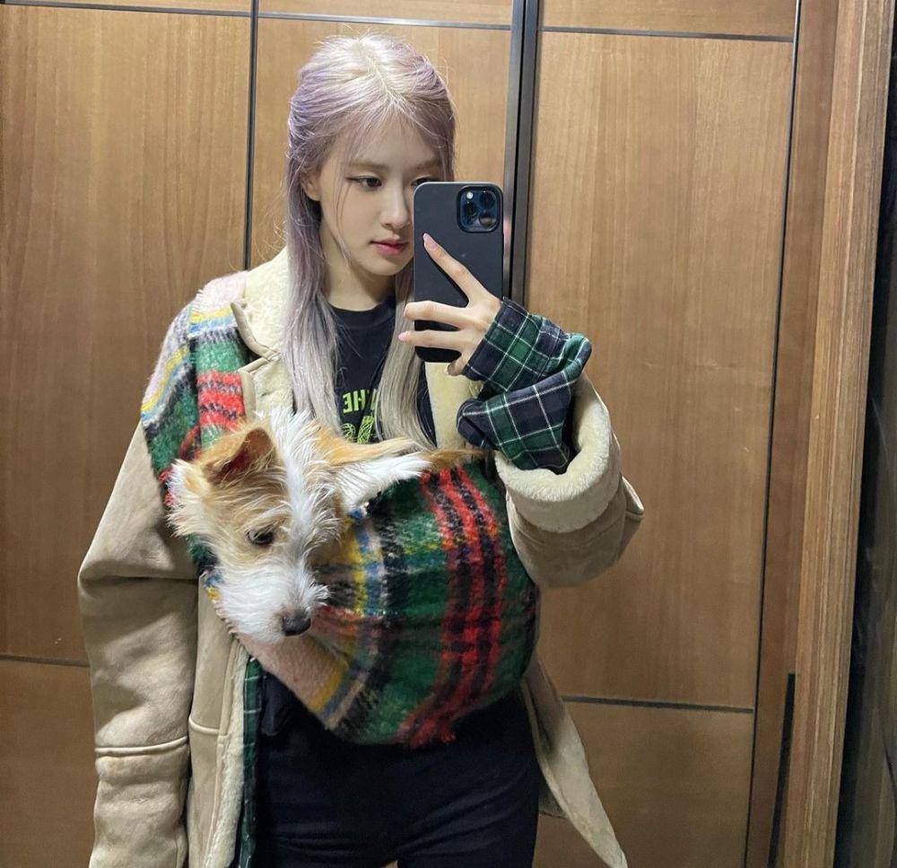 Rose BLACKPINK bersama Hank (youtube.com/hank_says_hank)
