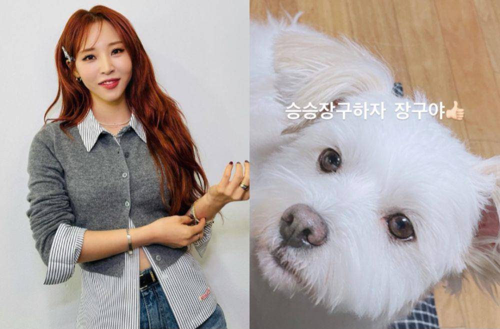 Moonbyul MAMAMOO dan anjing peliharaannya (instagram.com/mo_onbyul)