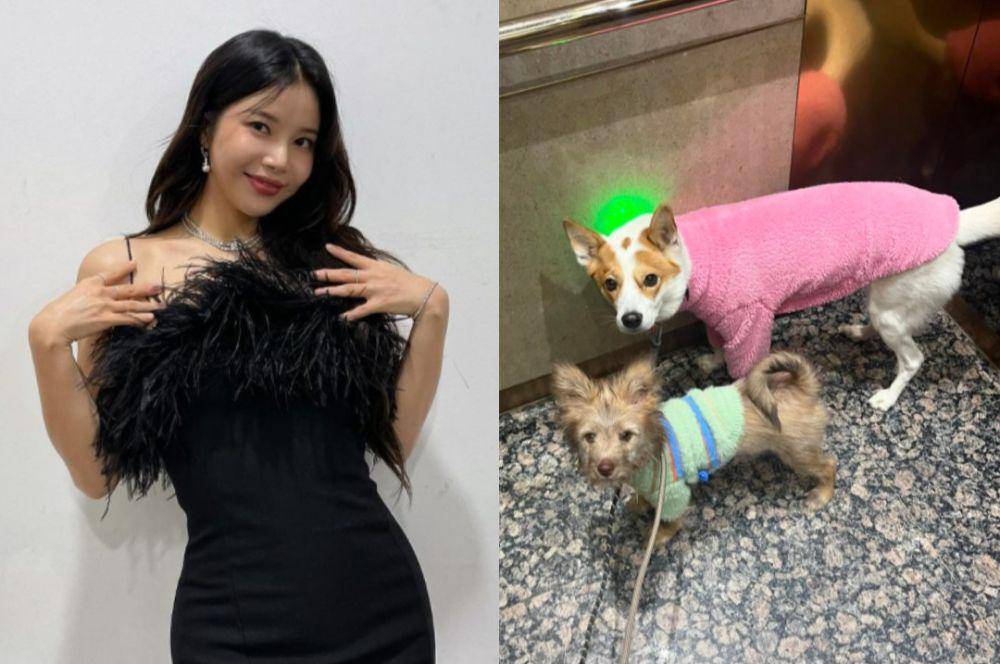 Solar MAMAMOO dan hewan peliharaannya (instagram.com/solarkeem)