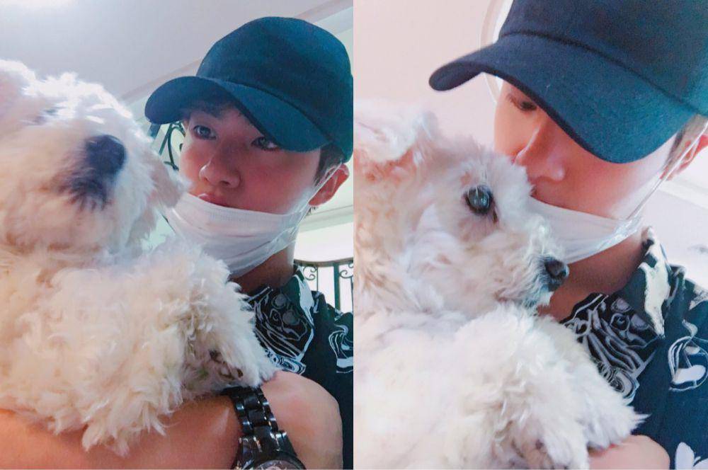 Jin BTS dan hewan peliharaannya (x.com/BTS_twt)