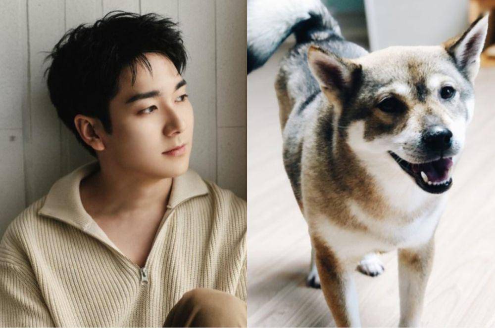 Aron dan hewan peliharaannya (instagram.com/theaaronkwak)