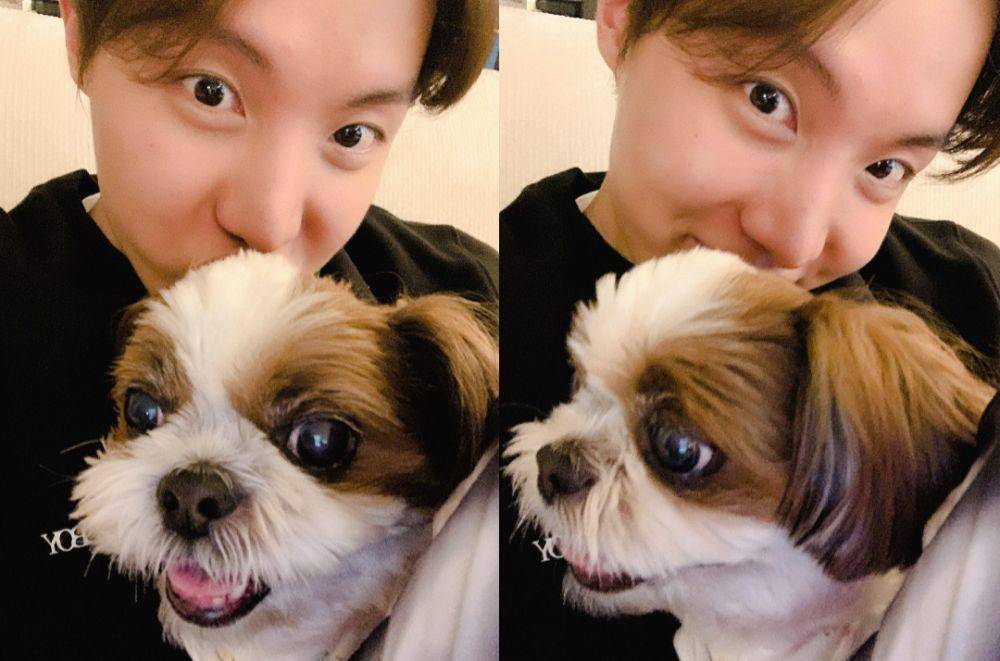 J-Hope BTS dan hewan peliharaannya (x.com/BTS_twt)