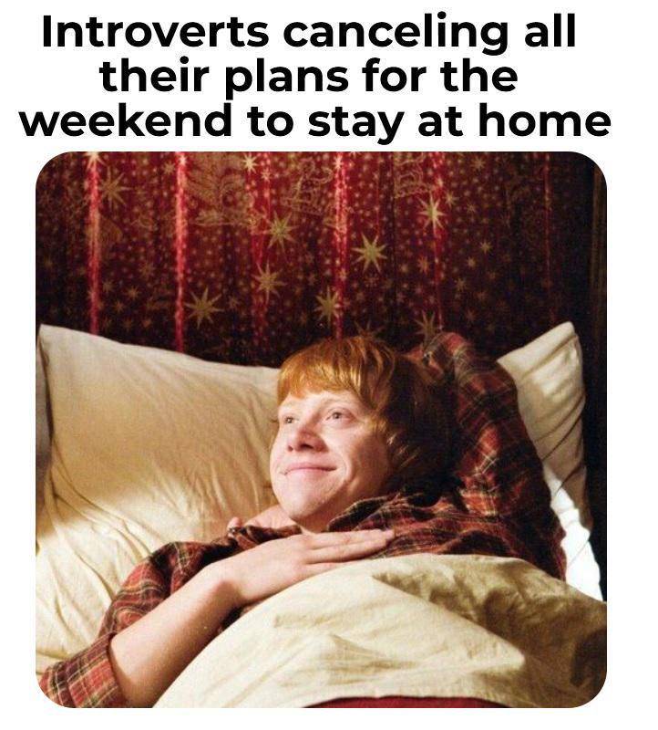 meme mending diam di rumah (reddit.com/NinchyFakinchy)