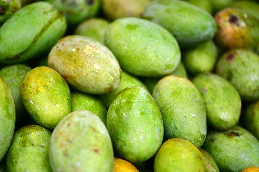ilustrasi mangga manalagi (pexels.com/Chen Te)